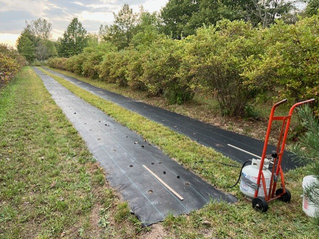 Two rows of black landscape fabric and a propane tank with a tube coming off of it on a red dolly.